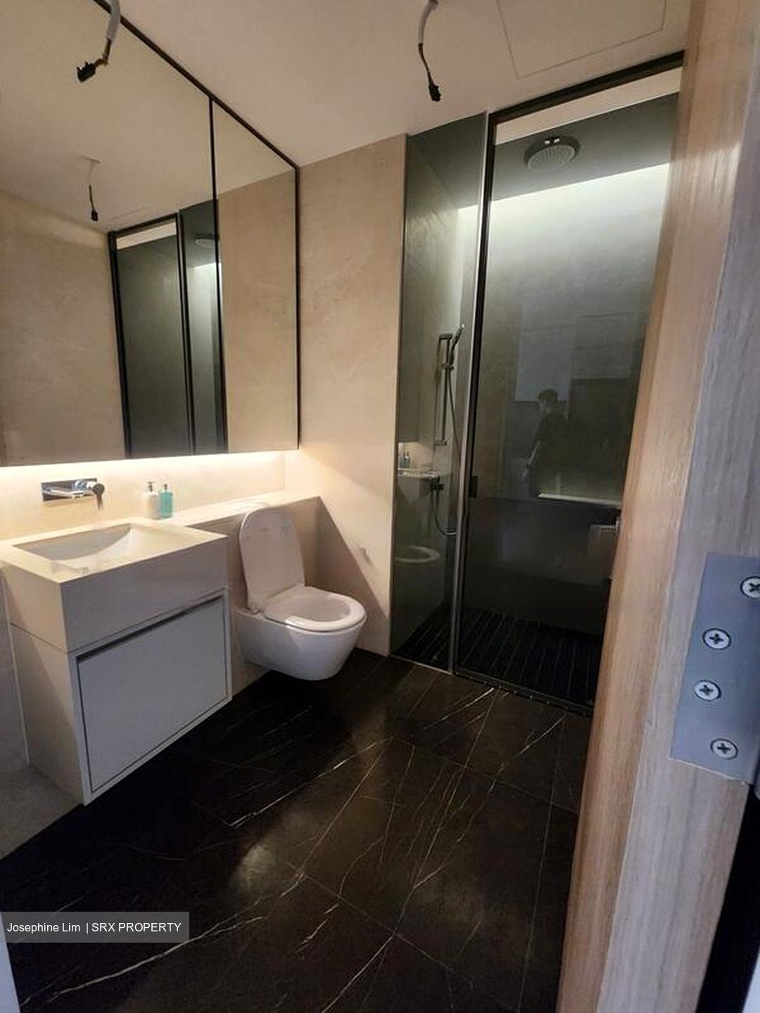 Amber Park (D15), Condominium #618273881
